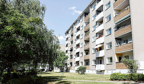 Hochhaus hinter einer Wiese mit Bäumen