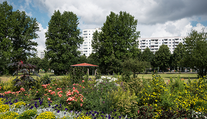 Bild – Natur, Blumenwiese